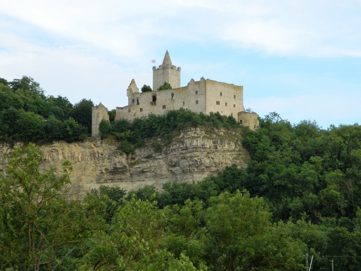 Sdroute der Strae der Romanik: Die Rudelsburg bei Saaleck im Sden von Sachsen-Anhalt. Die Burg wurde wohl von den Bischfen von Naumburg im Hochmittelalter zur Sicherung der Handelswege wie der Via Regia mit der Saalebrcke in Bad Ksen angelegt. Nur wenige hundert Meter entfernt befindet sich die Burg Saaleck. (11.07.2017)