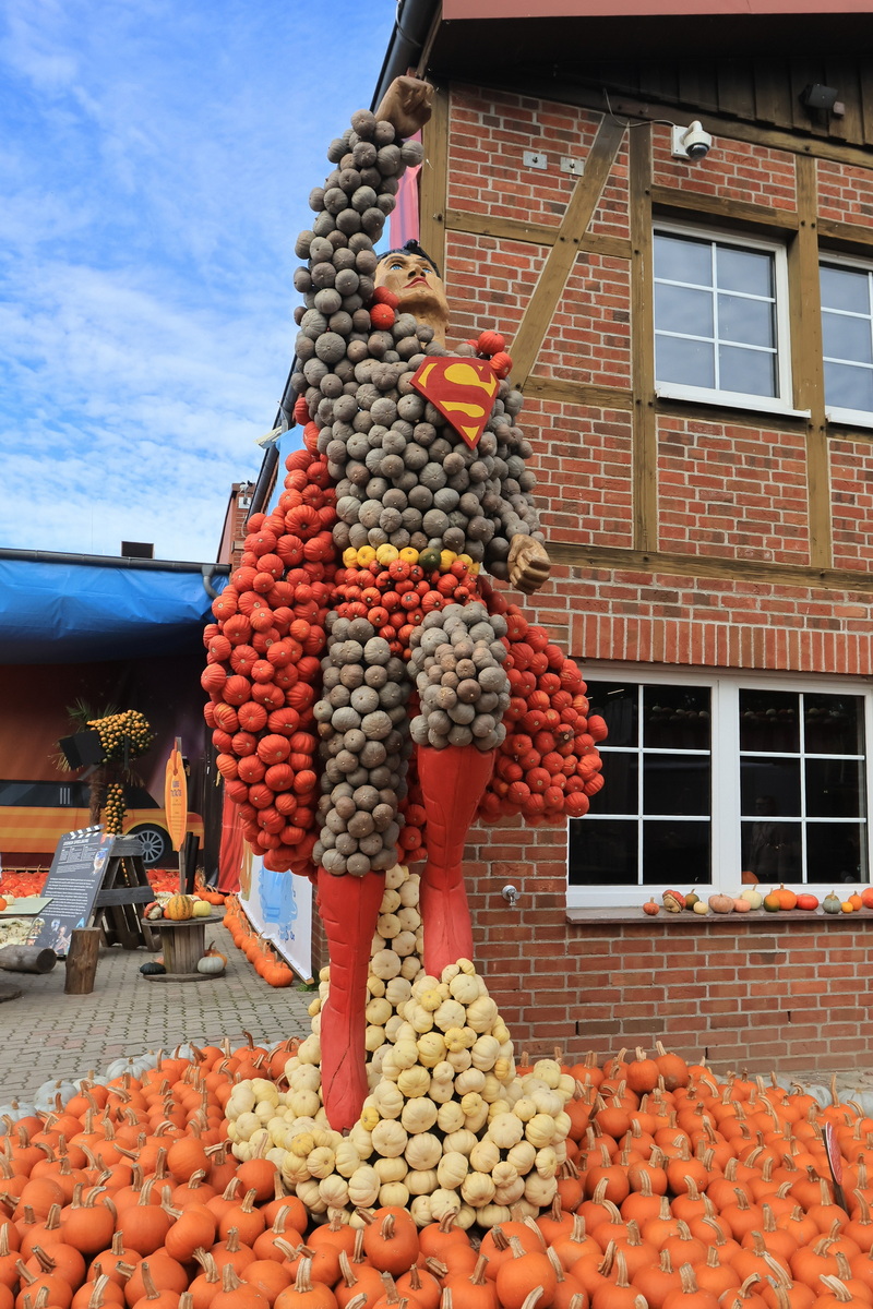 Superman aus K�rbissen auf den Spargelhof am 16. Oktober 2026 in Klaistow.