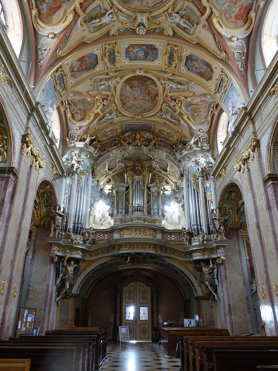 Svaty Kopecek / Heiligenberg, Orgelempore in der Basilika Maria Heimsuchung (03.08.2020)