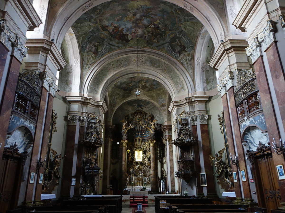 Szkesfehrvr, Rokoko Innenraum der Seminarkirche, erbaut von 1745 bis 1748 (27.08.2018)