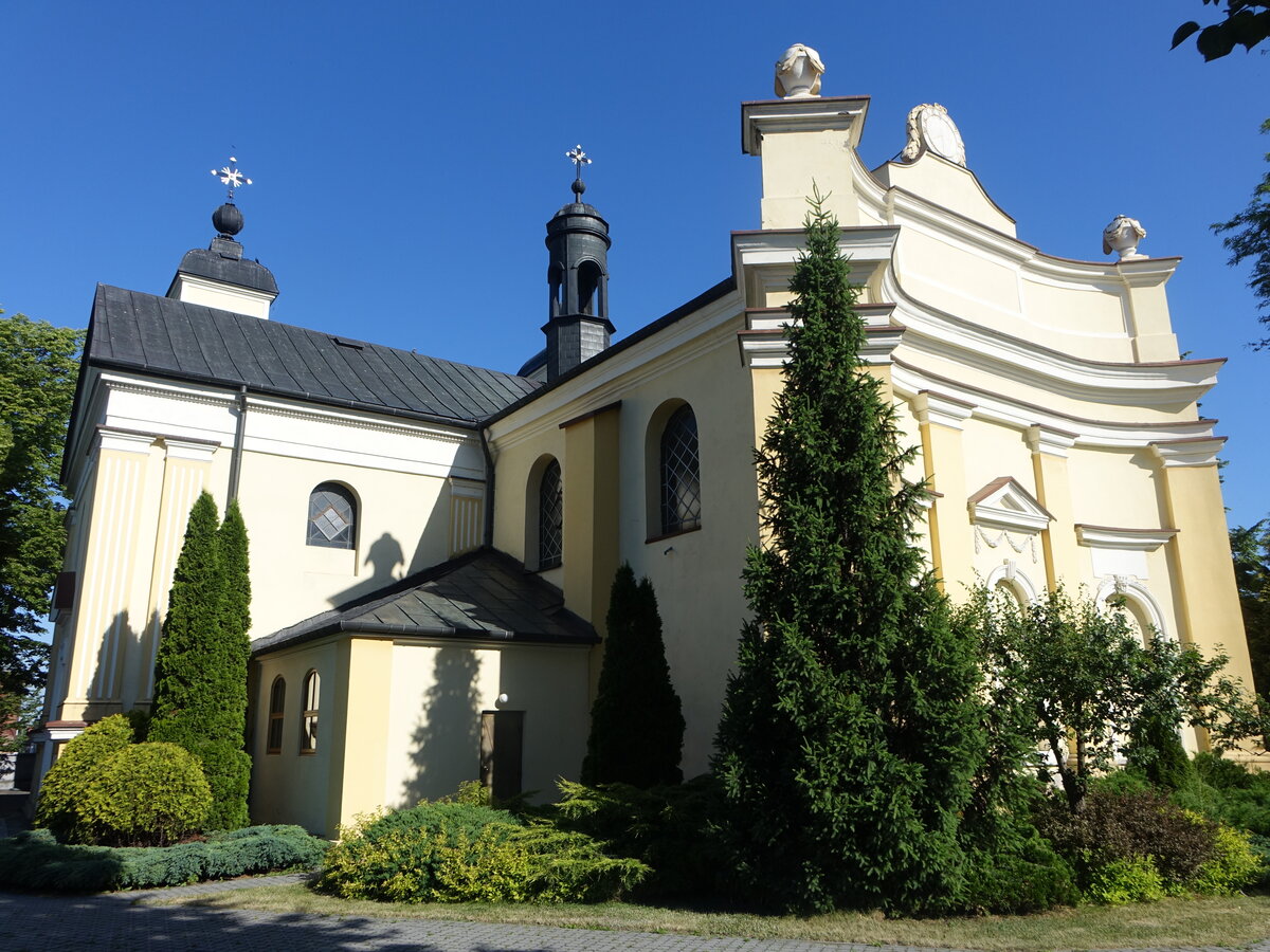 Szczekociny, Pfarrkirche St. Bartholomus, erbaut bis 1550 (19.06.2021)
