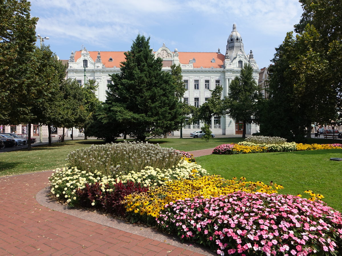 Szeged, Blumenbeete am Szechenyi Ter Platz (24.08.2019)
