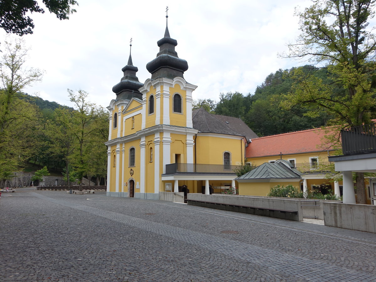 Szentkut, barocke Wallfahrtskirche Maria Himmelfahrt, erbaut bis 1763 von Jnos Almssy (03.09.2018) 