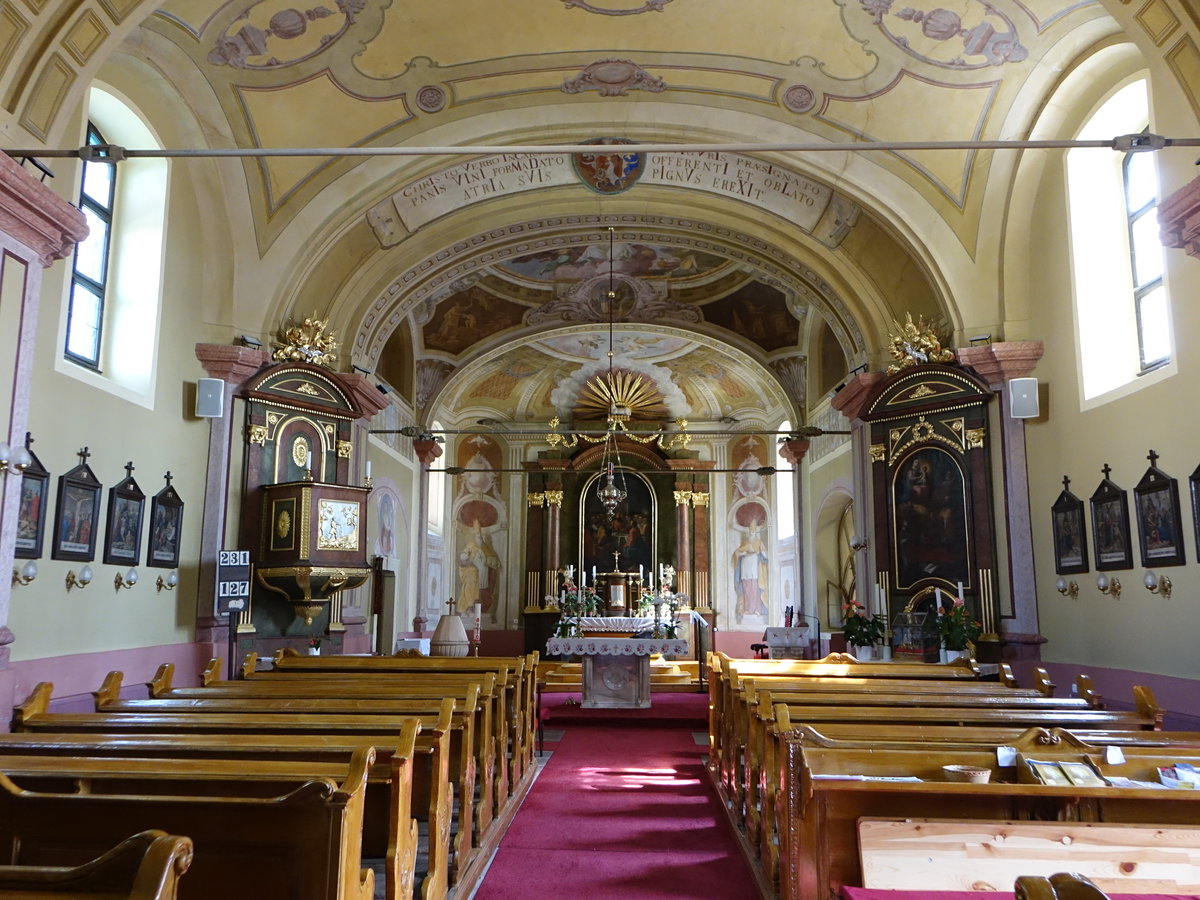 Tab, barocker Innenraum der katholischen Pfarrkirche (30.08.2018)