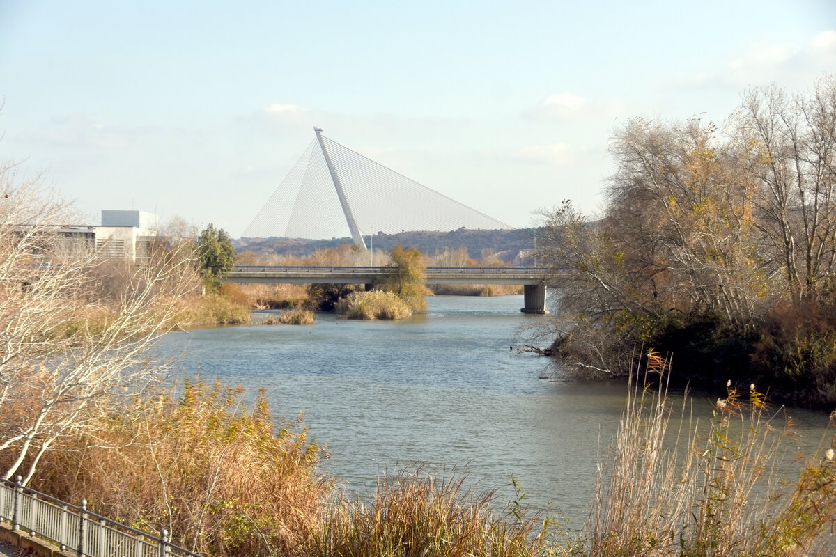 TALAVERA DE LA REINA (Kastilien-La Mancha/Provinz Toledo), 18.12.2021, am Ro Tajo; der erste Blick tuscht: es handelt sich um zwei Brcken, im Vordergrund die Brcke mit der N-502, im Hintergrund die imposante Hngebrcke, Puente de Castilla-La Mancha Ro Tajo genannt, die die Stadt im Sdosten umgeht