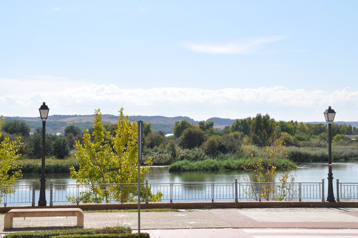 TALAVERA DE LA REINA (Provincia de Toledo), 08.10.2015, am Rio Tajo