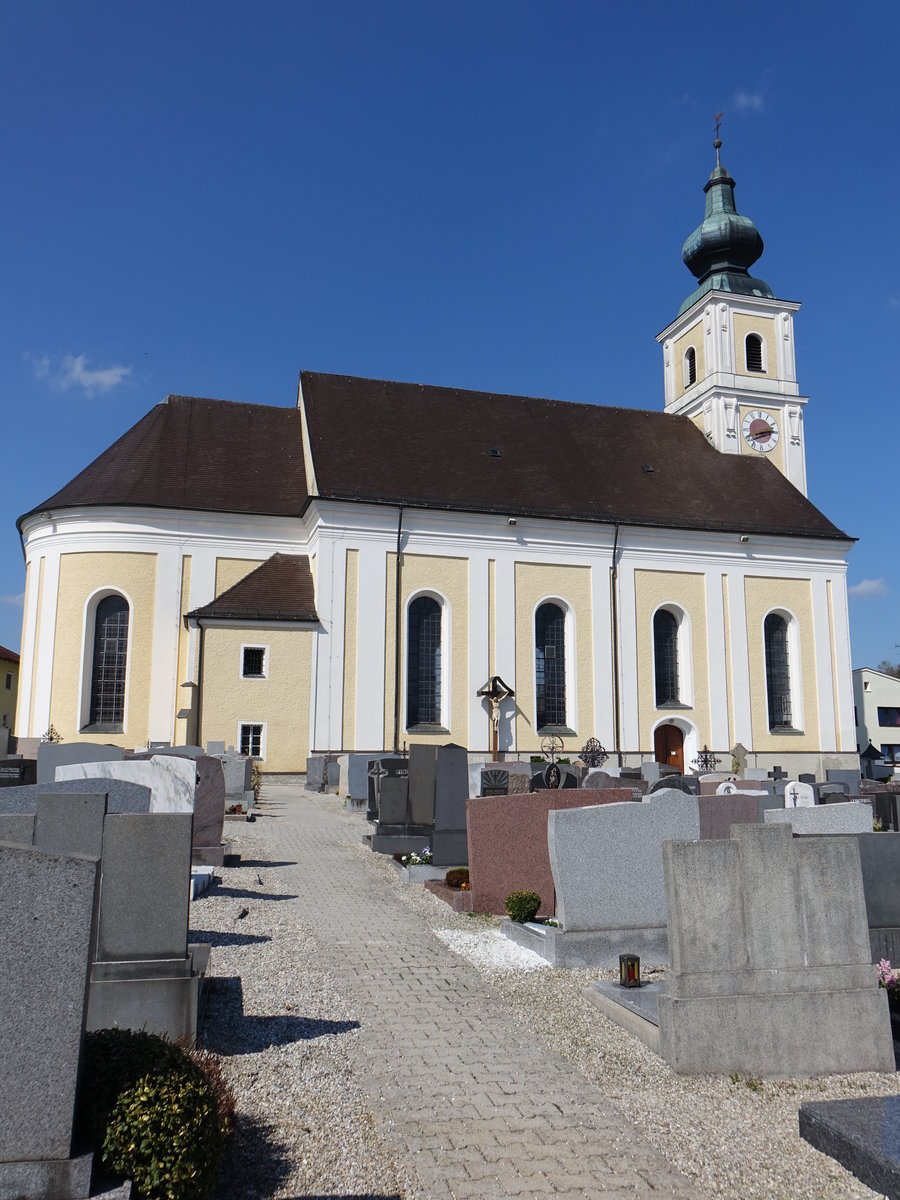 Tann, Pfarrkirche St. Peter und Paul, einschiffige gewestete Saalkirche mit eingezogenem Chor und Ostturm in der Mittelachse, klassizistisch, von 1798 bis 1801 erbaut durch Maurermeister Martin Desch aus Pfarrkirchen (09.04.2017)