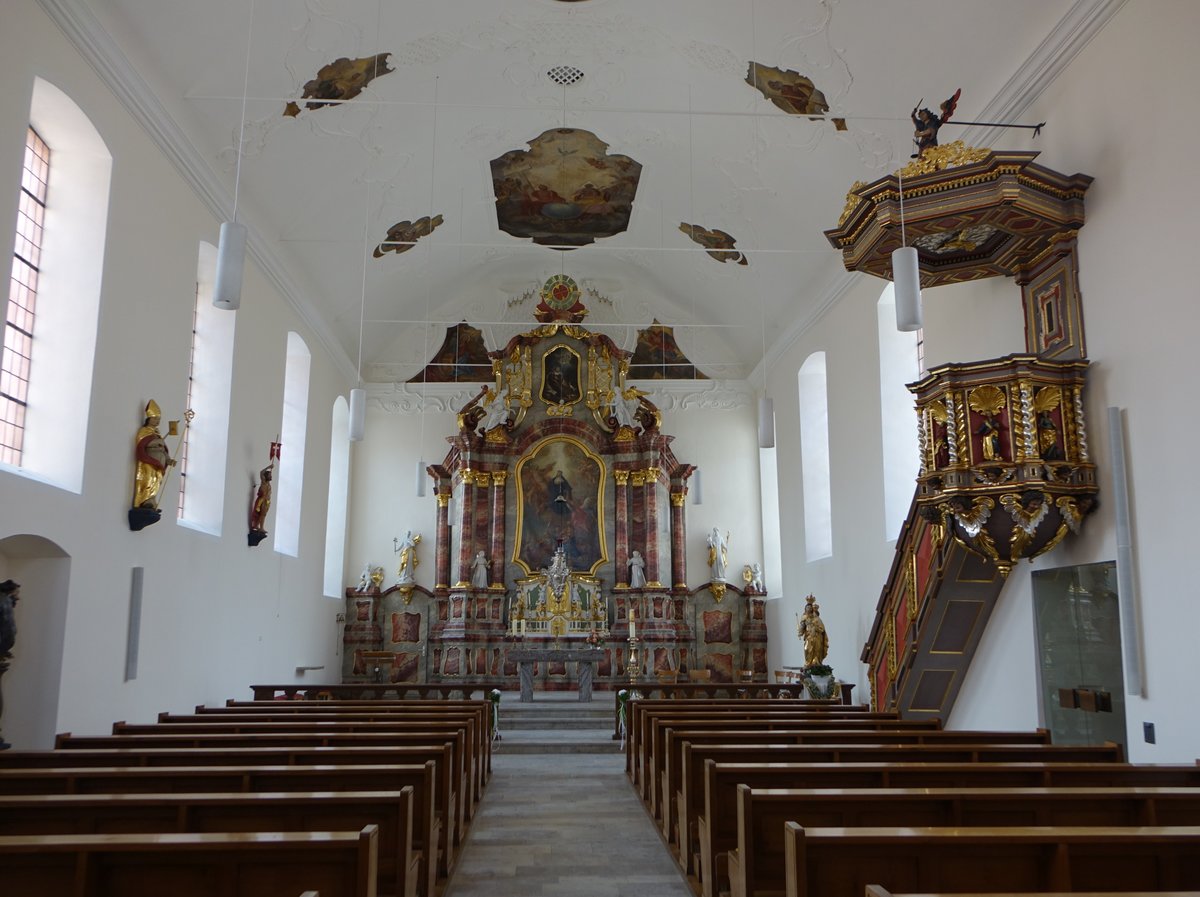 Tauberbischofsheim, St. Lioba Kirche, 1650 errichtet, nach weiteren Vernderungen im barocken Stil 1753 fertiggestellt (15.04.2018)