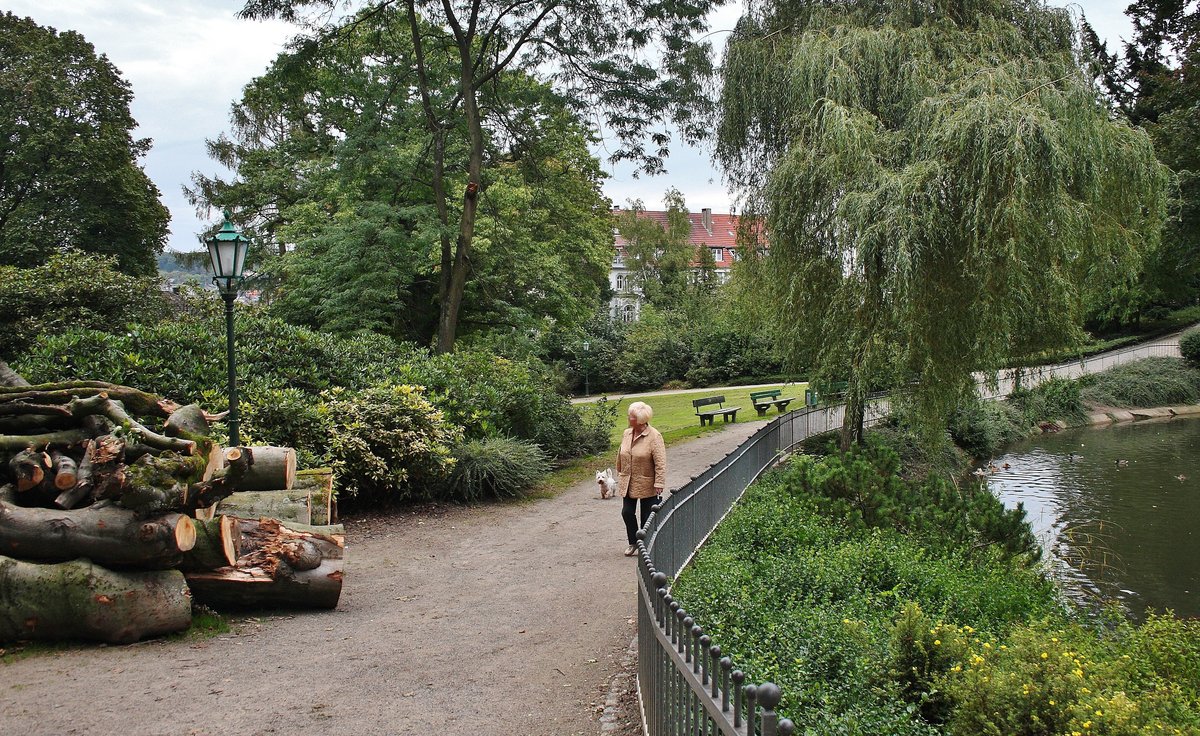 Teichanlage und Wege im unteren Teil der Barmer-Anlagen in Wuppertal-Barmen.  (zweit grte private und ffentlich zugngliche Park-Anlage Deutschlands von 1864) 16.09.2011