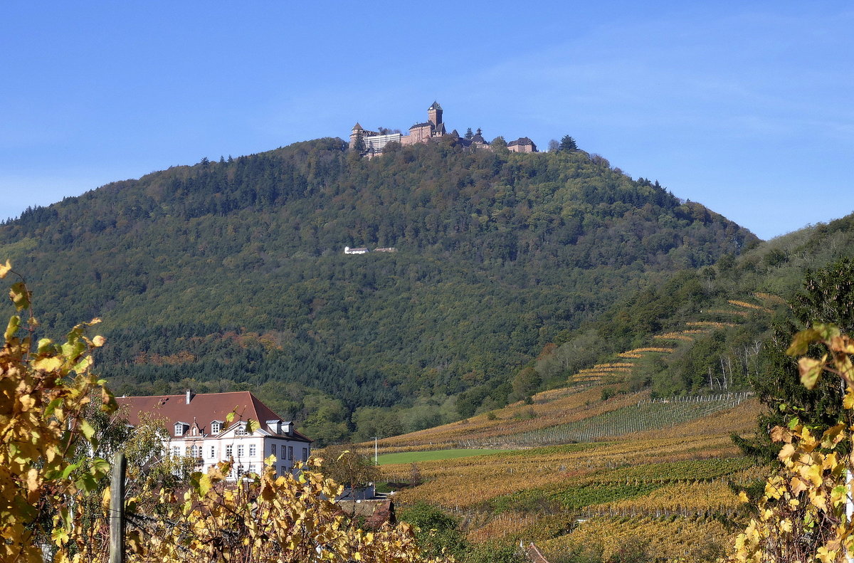 Teleblick vom Weinort St.Pilt (St.Hippolite) im Elsa zur 757m hoch gelegenen Hohknigsburg,
ein Geschenk der Stadt Schlettstadt (Selestat) an den Deutschen Kaiser Wilhelm II.,
1901-08 im historischen Stil neu aufgebaut, Okt.2019