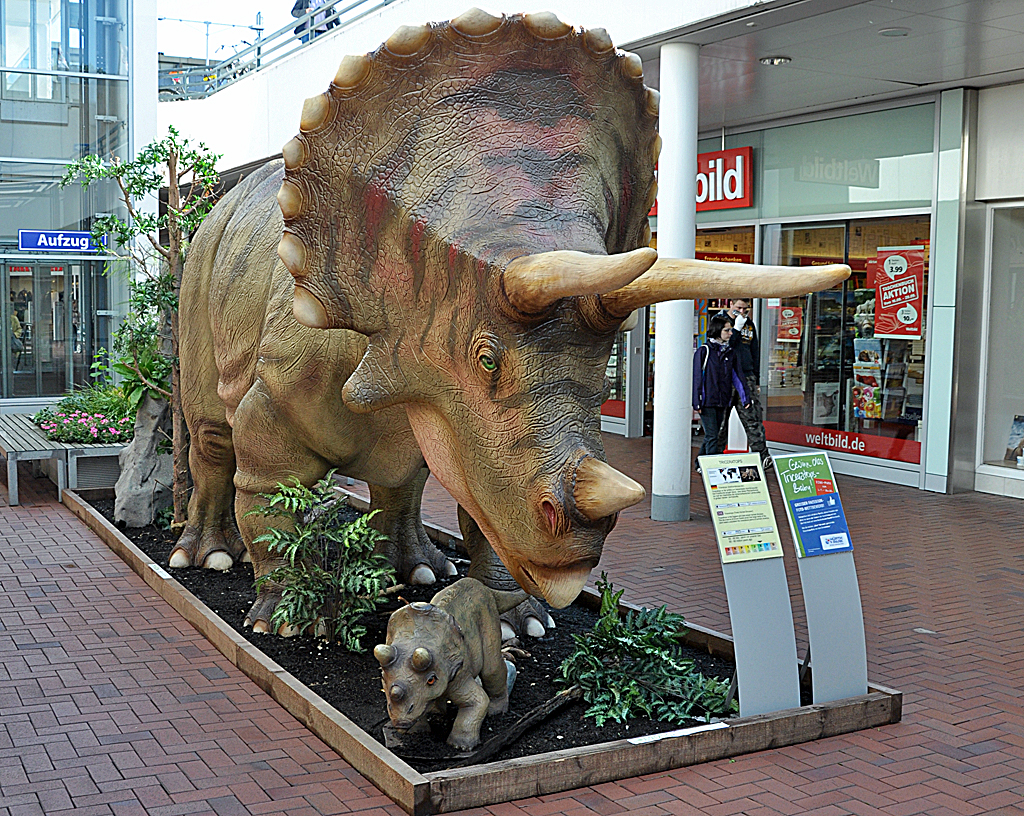Themenausstellung (Dinosaurier) im Hrth-Park (Einkaufszentrum), hier ein Triceratops - 16.09.2013