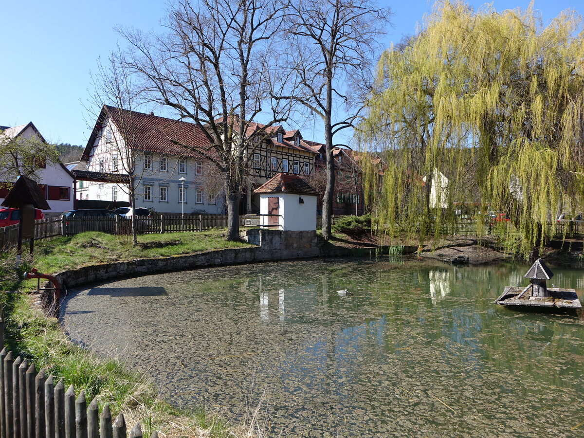 Tiefengruben, Huser am Dorfteich (17.04.2022)