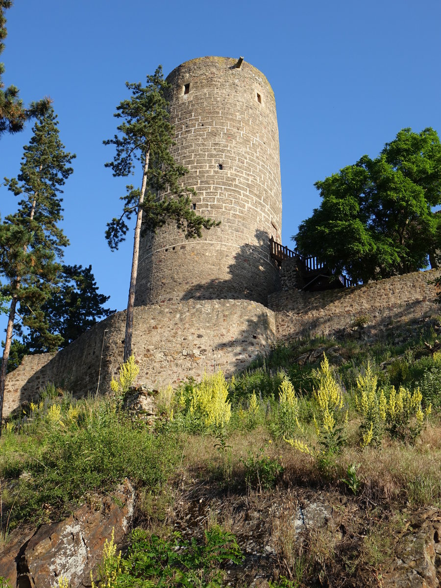 Tocnik / Totschnik, runder Bergfried der Burg Zebrak, erbaut im 13. Jahrhundert (27.06.2020)