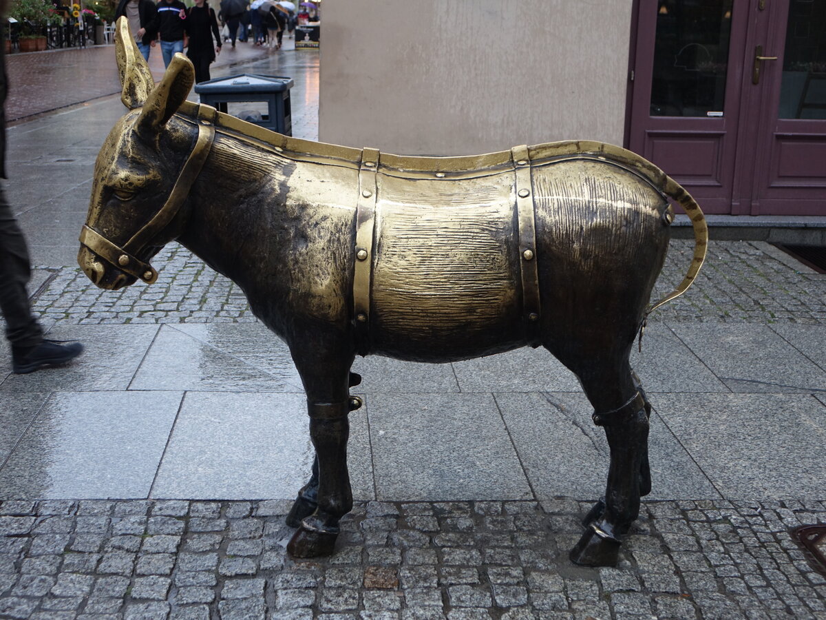 Torun / Thorn, Spanischer Esel am Stary Rynek (06.08.2021)