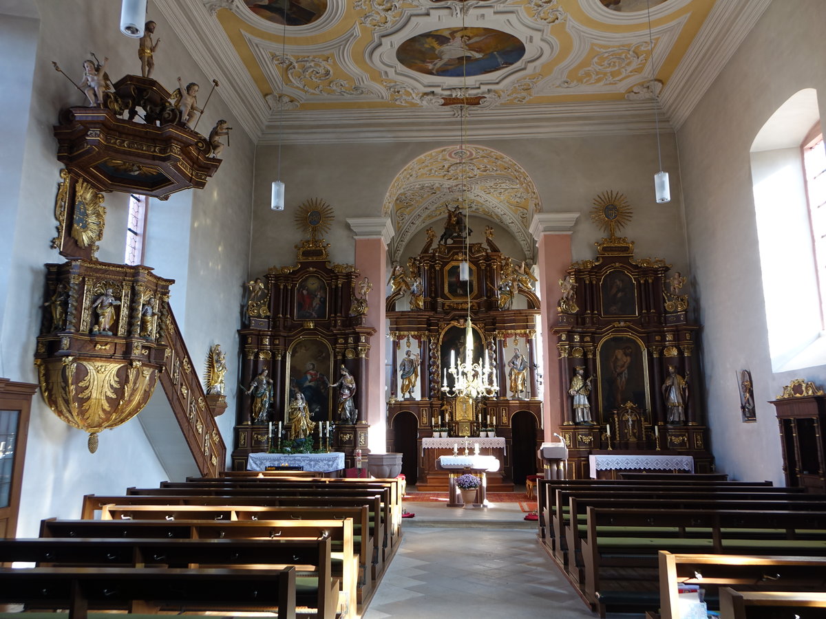 Trappstadt, barocker Innenraum in der kath. St. Burkard Kirche (15.10.2018)