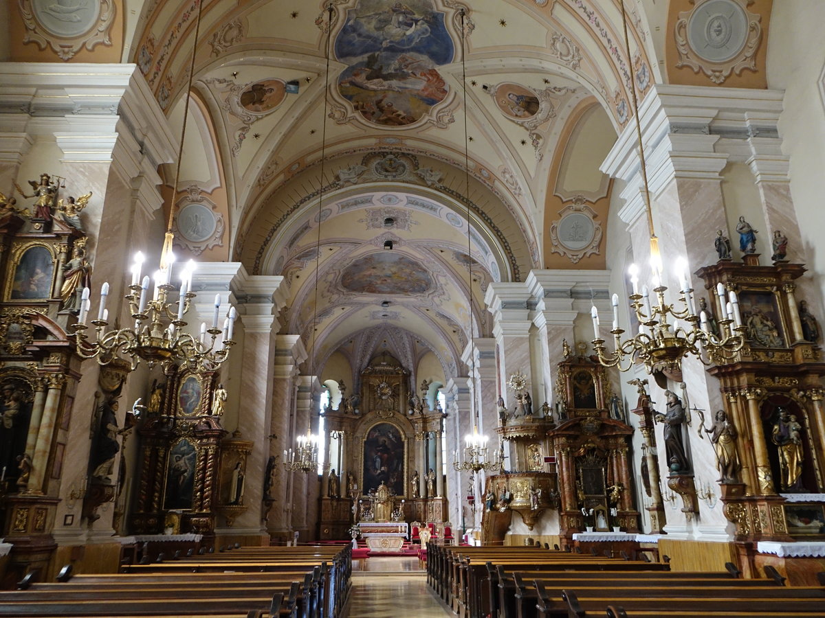 Trnava / Tyrnau, barocker Innenraum der Pfarrkirche St. Jakob (29.08.2019)