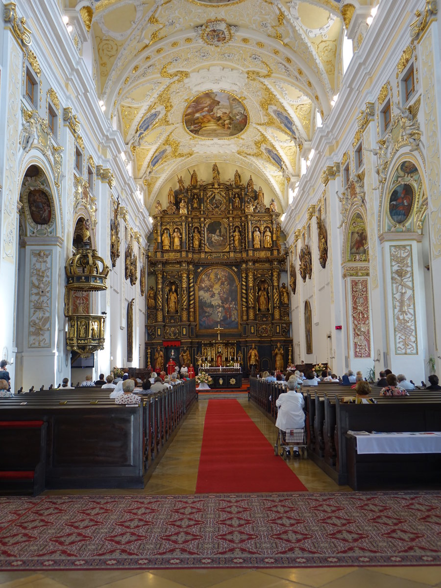 Trnava / Tyrnau, barocker Innenraum der Universittskirche St. Johannes (29.08.2019)