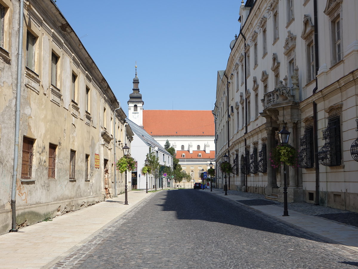 Trnava / Tyrnau, historische Gebude in der Kapitulska Strae (29.08.2019)