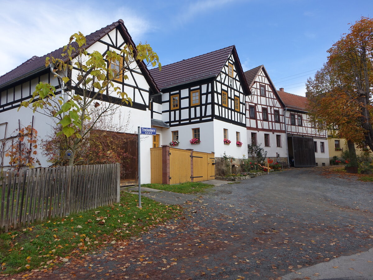 Trockenborn, Fachwerkhäuser an der Dorfstraße (23.10.2022)