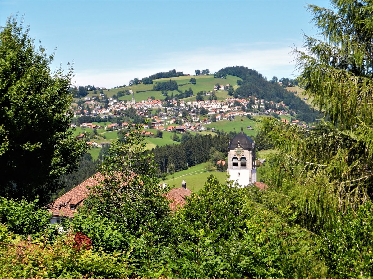 Trogen, Sicht in Richtung Rehetobel - 18.07.2014