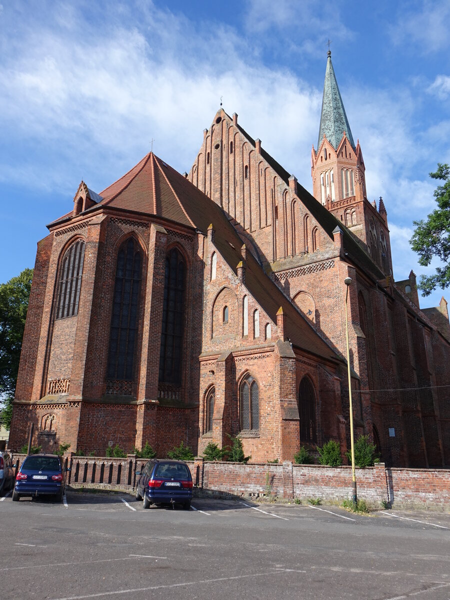 Trzebiatow / Treptow an der Rega, Pfarrkirche St. Marien, gotische Hallenkirche, erbaut im 14. Jahrhundert, Kirchturm von 1773 (01.08.2021)