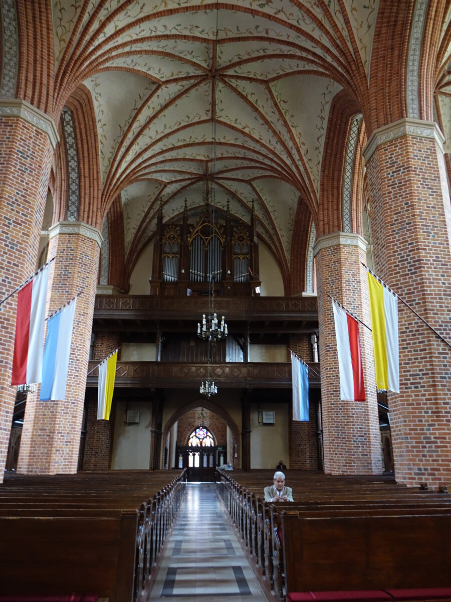 Trzebiatow / Treptow an der Rega, Orgelempore in der St. Marien Kirche, erbaut 1842 durch Johann Friedrich Schulze  (01.08.2021)