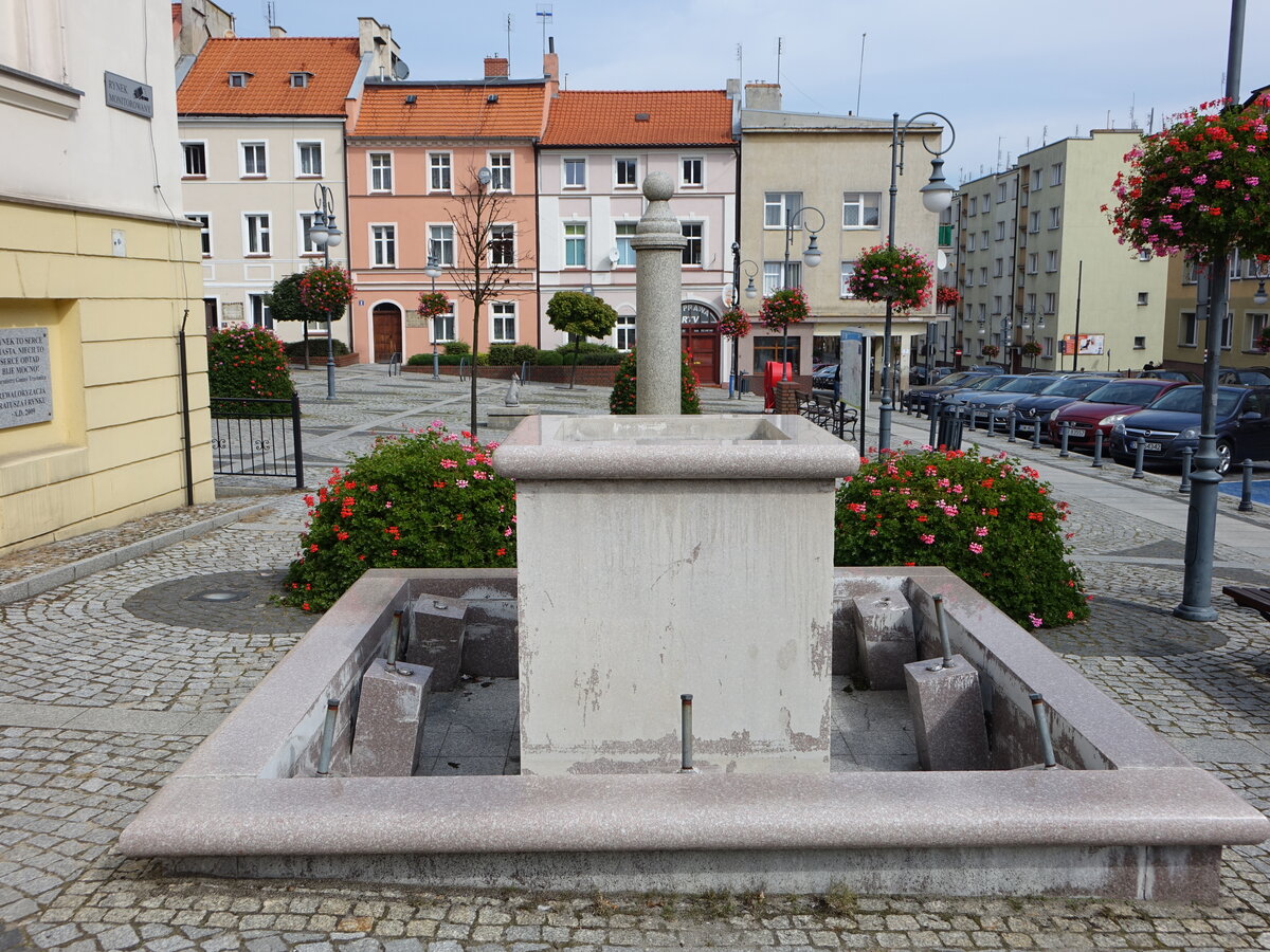 Trzebnica / Trebnitz, Brunnen am Rynek Platz (15.09.2021)