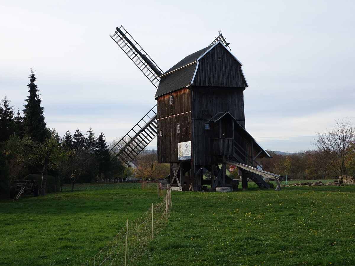 Tngeda, Bockwindmhle, erbaut 1840 am sdlichen Ortsrand (12.11.2022)