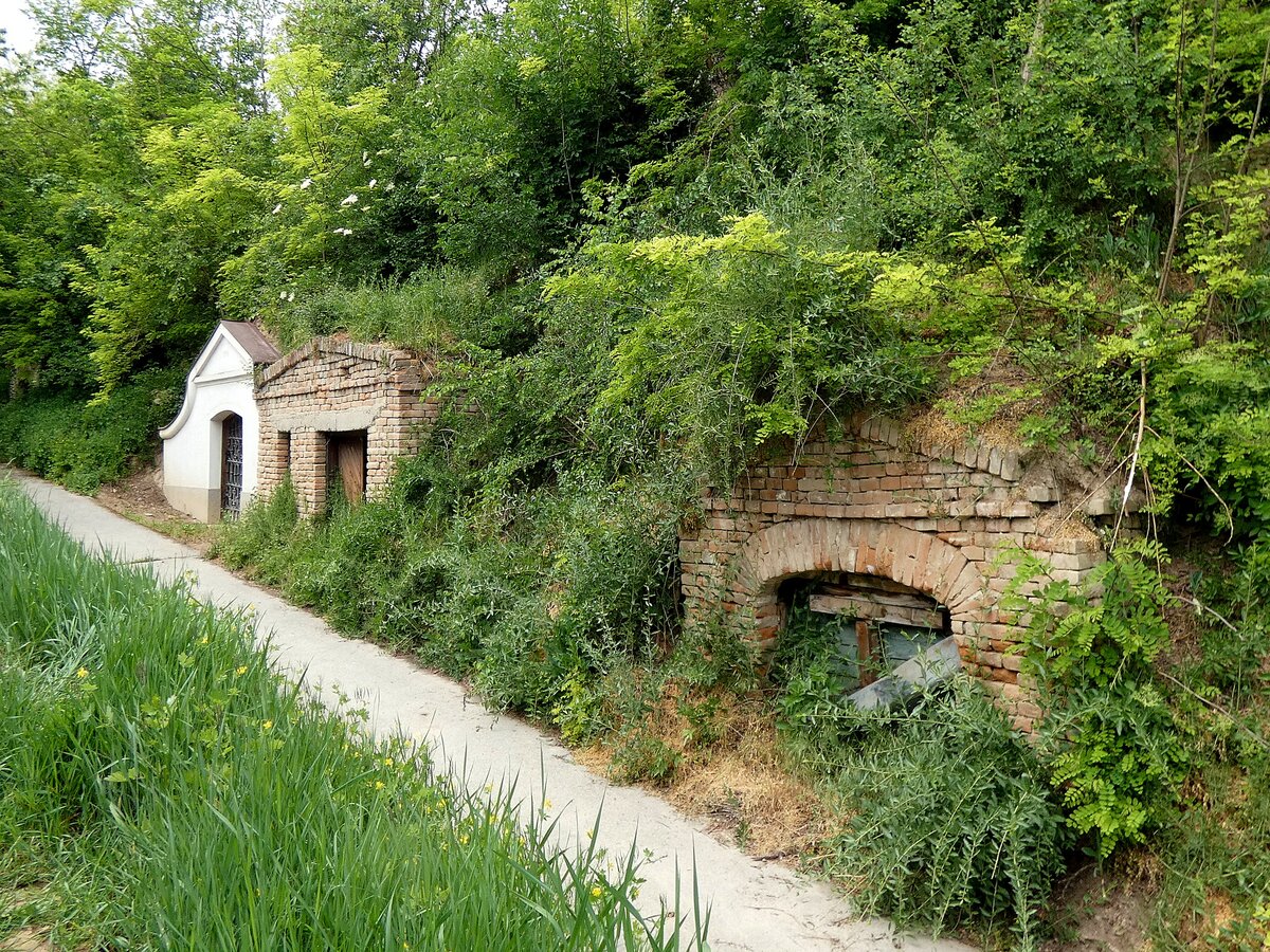 Typische Kellergasse mit teils verfallenen Erdkellern zur Weinlagerung entlang eines Wanderweges in Bad-Pirawarth; 260514