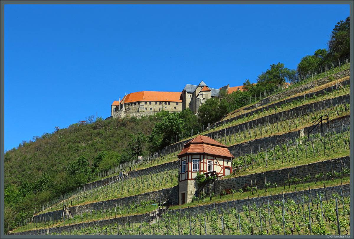 ber den Weinbergen bei Freyburg thront Schloss Neuenburg. (01.06.2020)