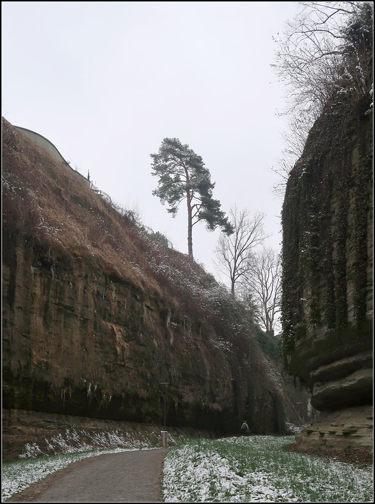 berlingen, Stadtbefestigung -

Der untere Zugang zum Gallertgraben im Bereich des Stadtgartens.

08.02.2018 (M)