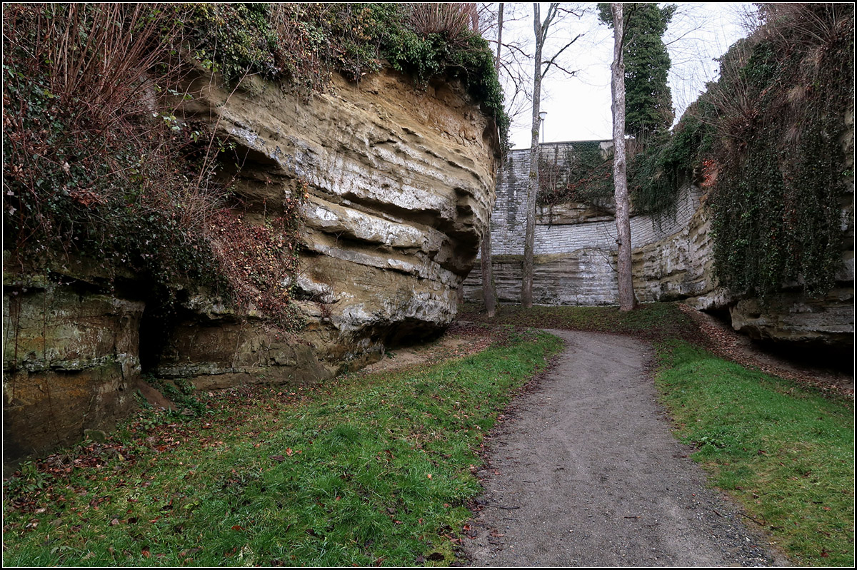 berlingen, Stadtbefestigung -

Unterer Zugang in den Blatterngarben.

12.02.2018 (M)