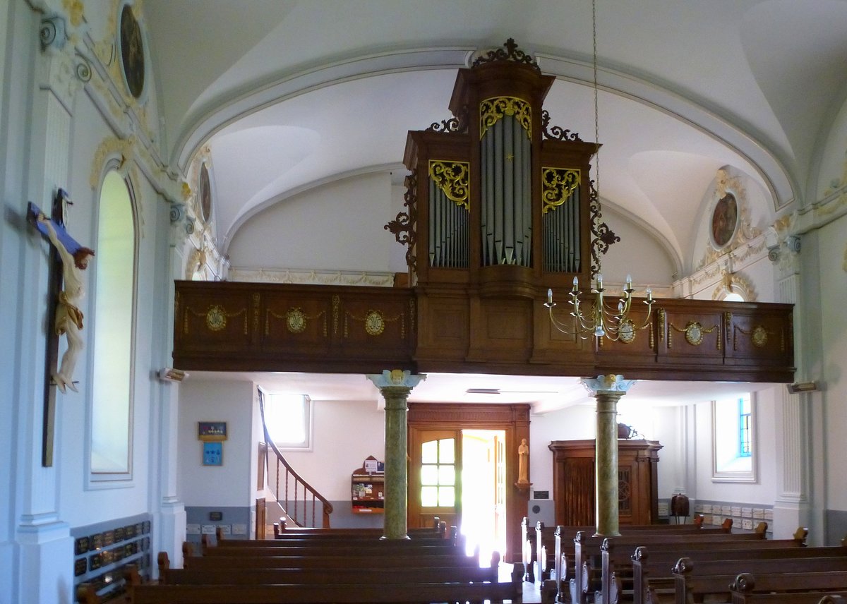 Ueberstrass, Blick zur Orgelempore in der Wallfahrtskapelle, Juli 2017