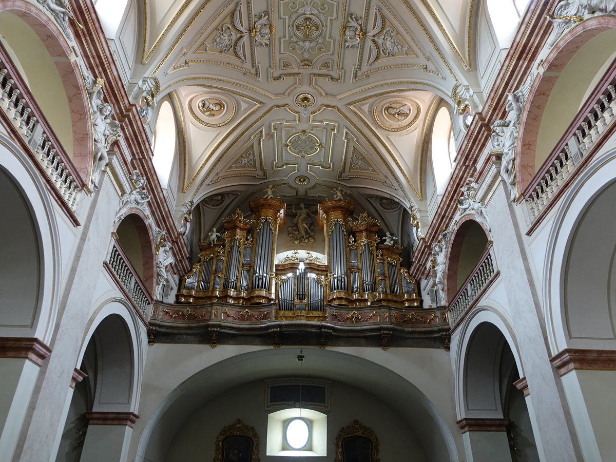 Uherske Hradiste / Ungarisch Hradisch, Orgelempore in der Jesuitenkirche (04.08.2020)