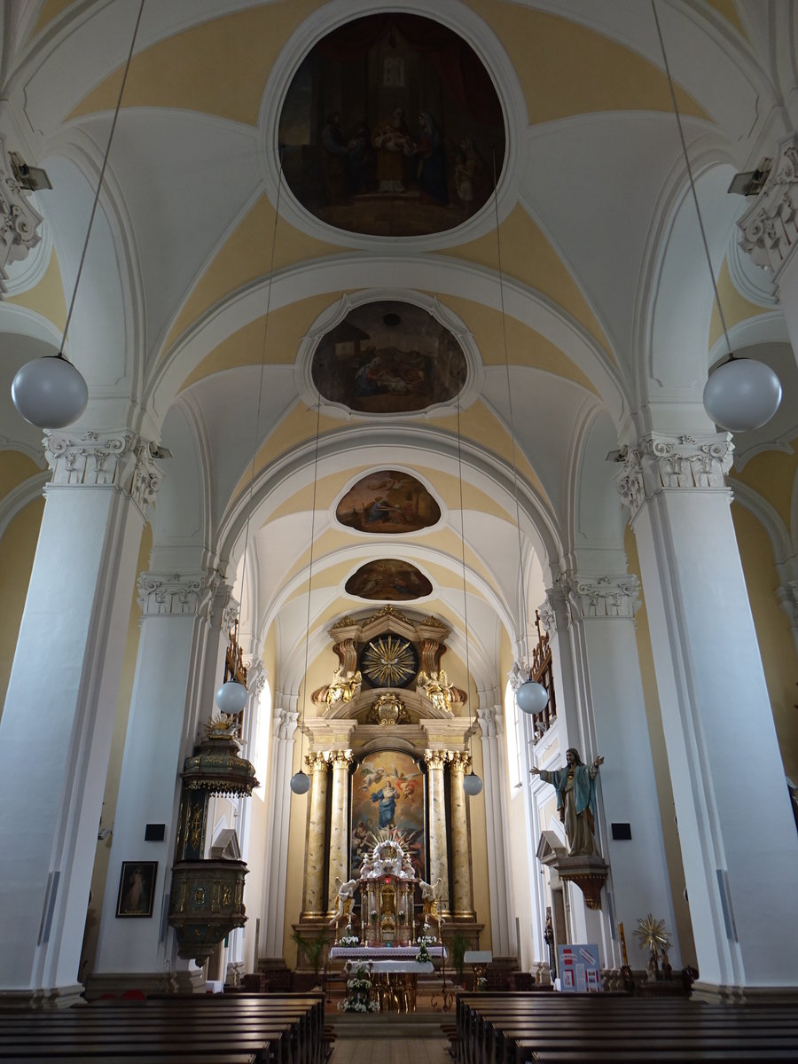 Uhersky Brod / Ungarisch Brod, barocker Innenraum der Maria Himmelfahrt Kirche (02.08.2020)
