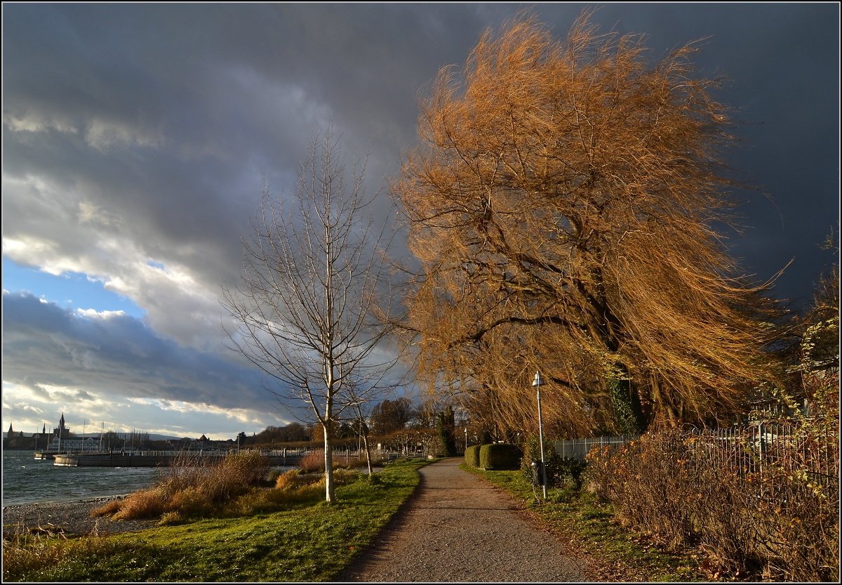 <U>Lichtspiele in Konstanz</U>

Dass Xaver den Bodensee streift, zeigt diese Weide an der Uferpromenade in Konstanz ganz deutlich an. Dezember 2013. 