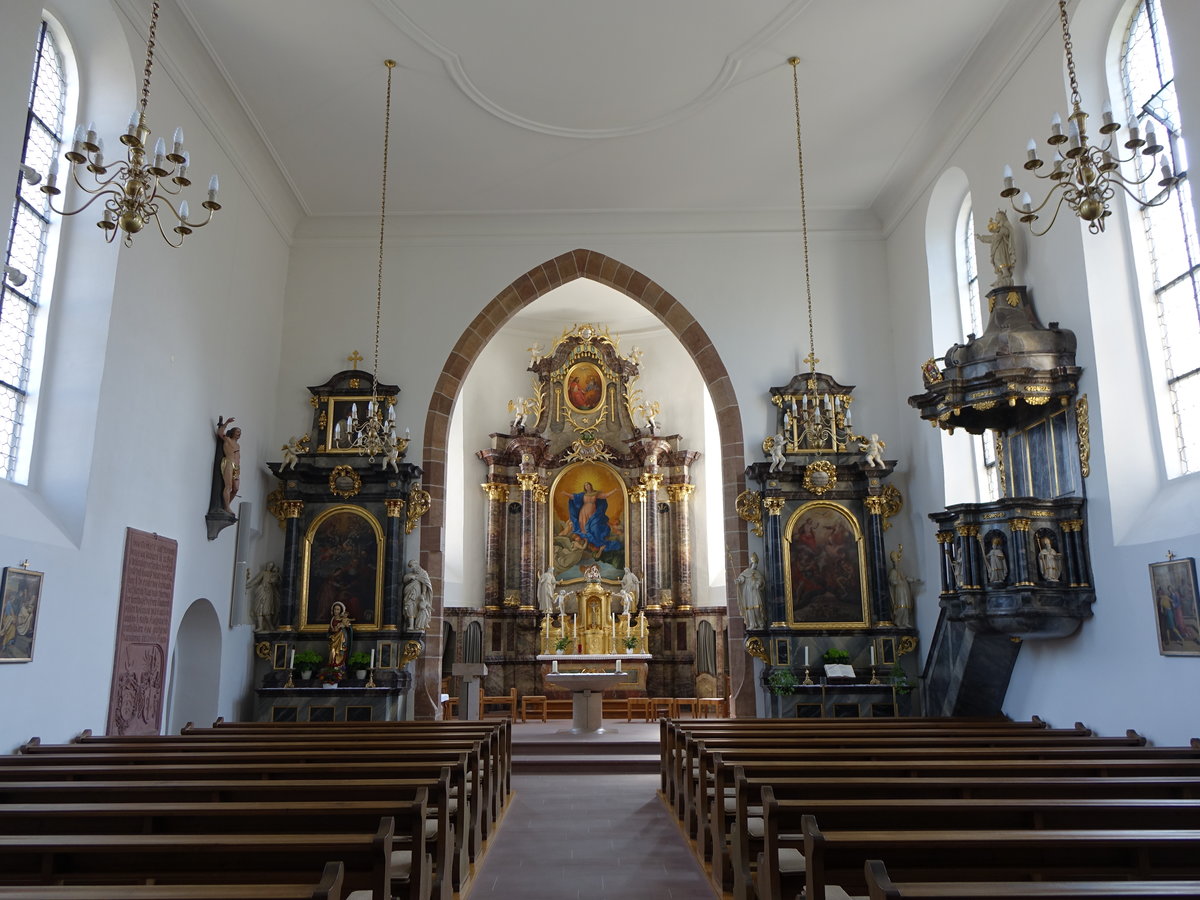 Umkirch, barocker Innenraum der Pfarrkirche Maria Himmelfahrt (15.08.2016)
