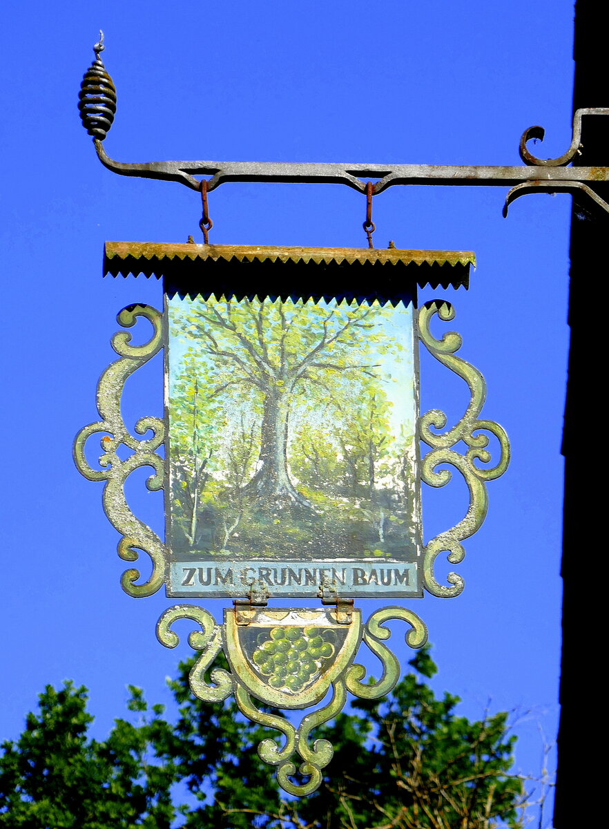 Ungersheim, ECO-Museum, historisches Wirtshausschild  Zum grnen Baum , aus dem Elsa, Mai 2025