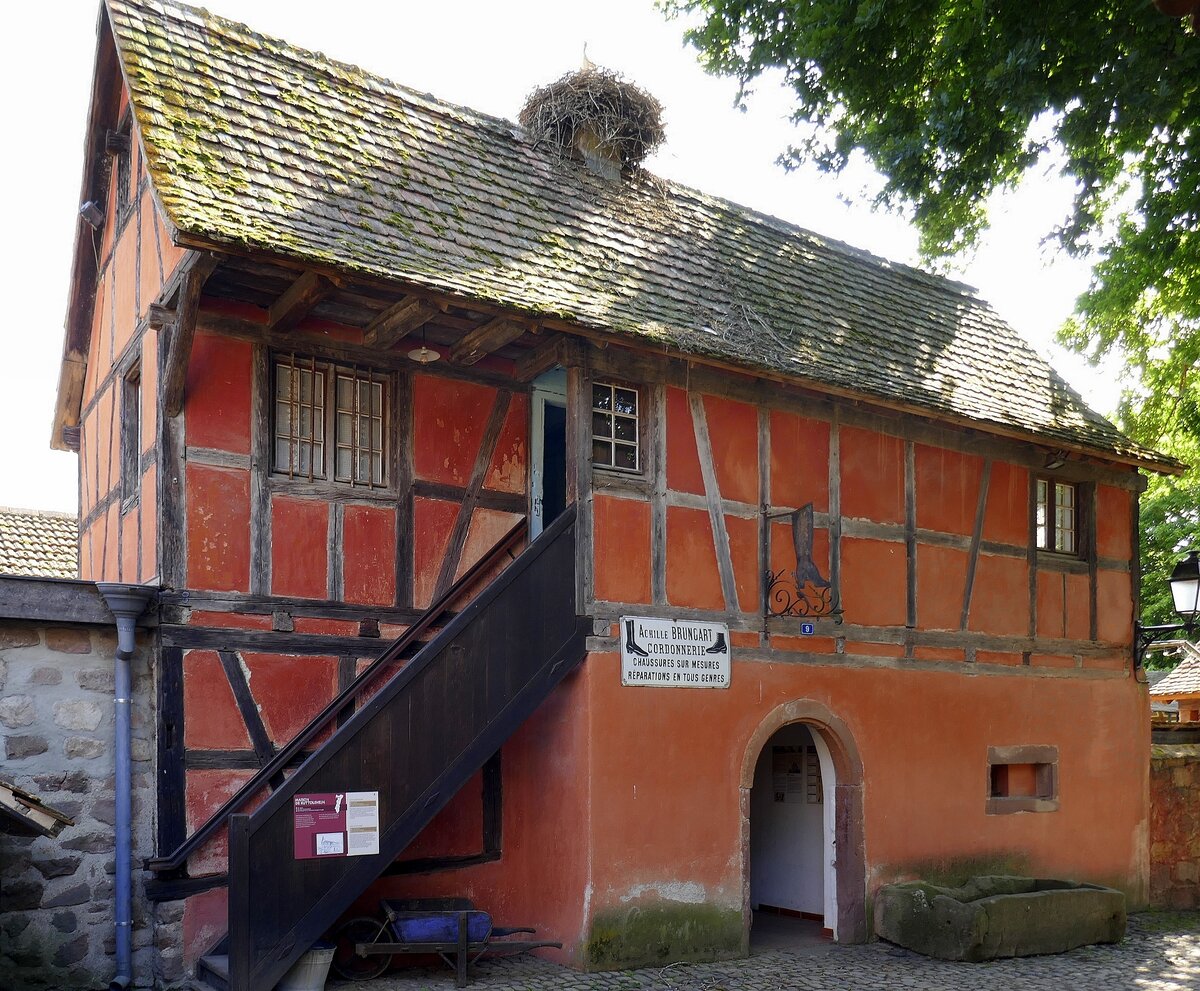 Ungersheim, ECO-Museum, Wohn-und Arbeitshaus einer Winzerfamilie aus Kochersberg/Oberelsa aus dem 18.Jahrhundert, 1984 abgebaut und anschlieend im Museum errichtet, Mai 2025