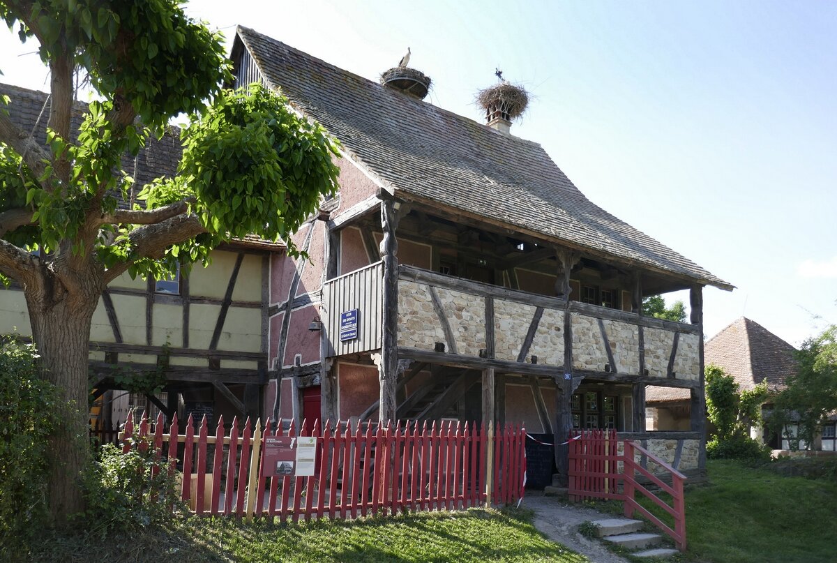Ungersheim im Elsa, ECO-Museum, Wohnhaus um 1660 aus dem Sundgau, wurde dort 1988 abgebaut und anschlieend im Museum wieder errichtet, Mai 2025