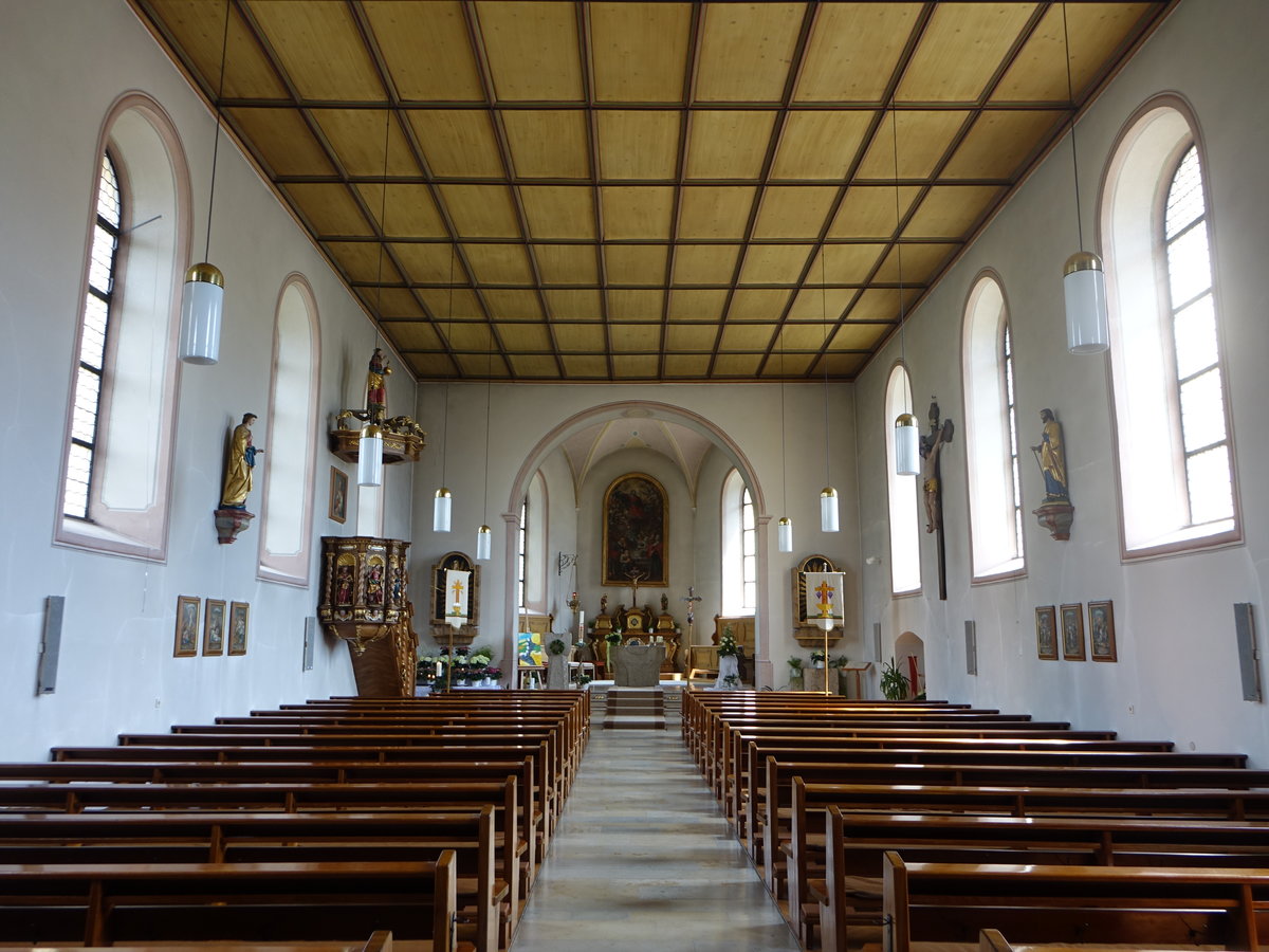 Unterdigisheim, kath. St. Maria Kirche, erbaut 1723, Kanzel von Urban Faulhaber (21.05.2017)