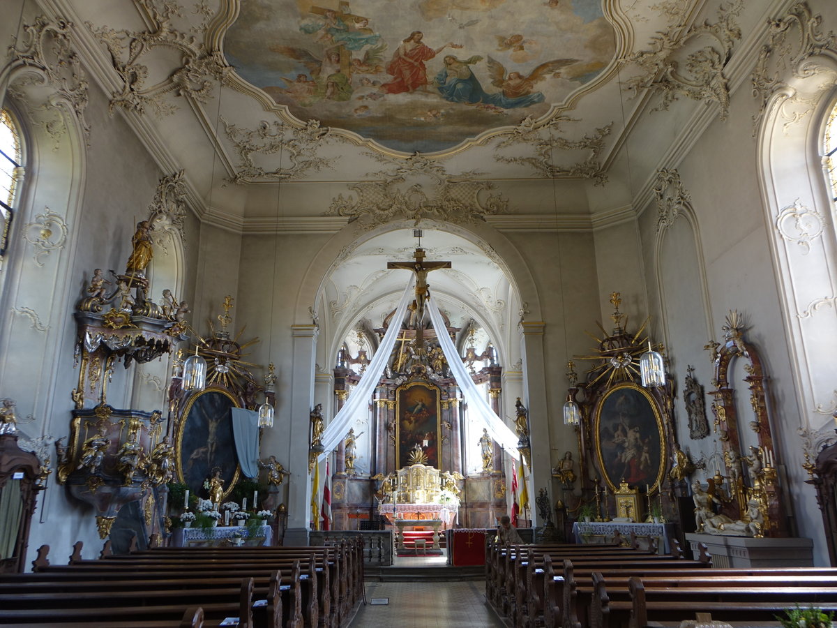 Untereisenheim, barocker Innenraum der Pfarrkirche Maria Himmelfahrt (27.05.2017)