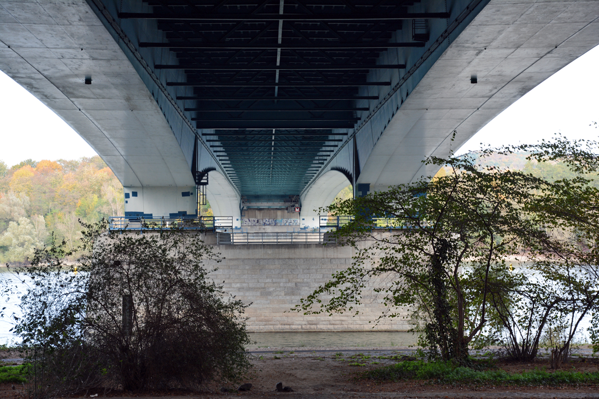 Unterseite der  Konrad-Adenauer-Brcke  (Sdbrcke) in Bonn - 01.11.2014