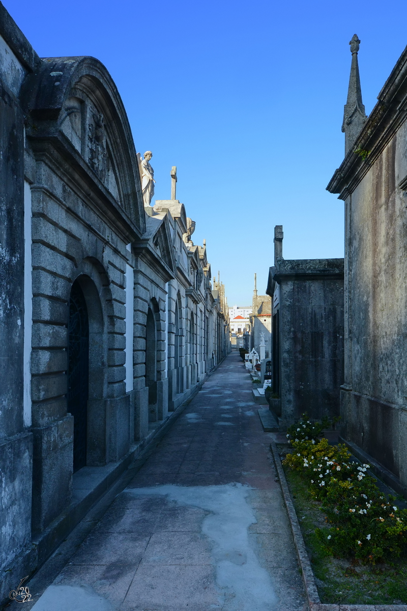 Unterwegs auf dem Friedhofsgelnde von Lapa (Cemitrio da Lapa) in Porto. (Januar 2017)