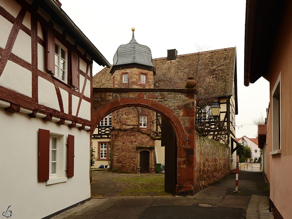 Unterwegs in Diedesfeld. (Neustadt an der Weinstrae, Dezember 2014)