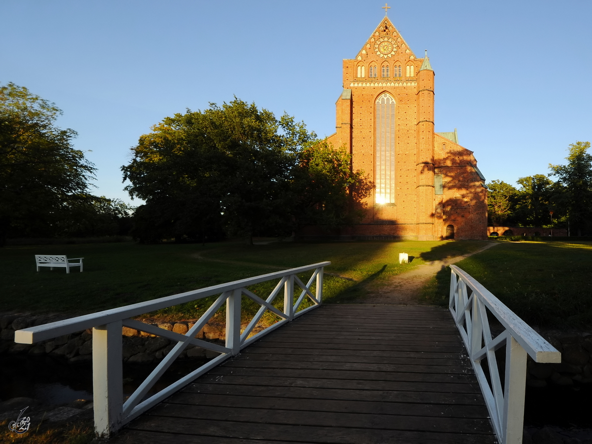 Unterwegs im Johann-Sebastian-Bach-Garten kurz vor der berquerung des Stlower Baches auf dem Weg zum Mnster in Bad Doberan. (August 2013)