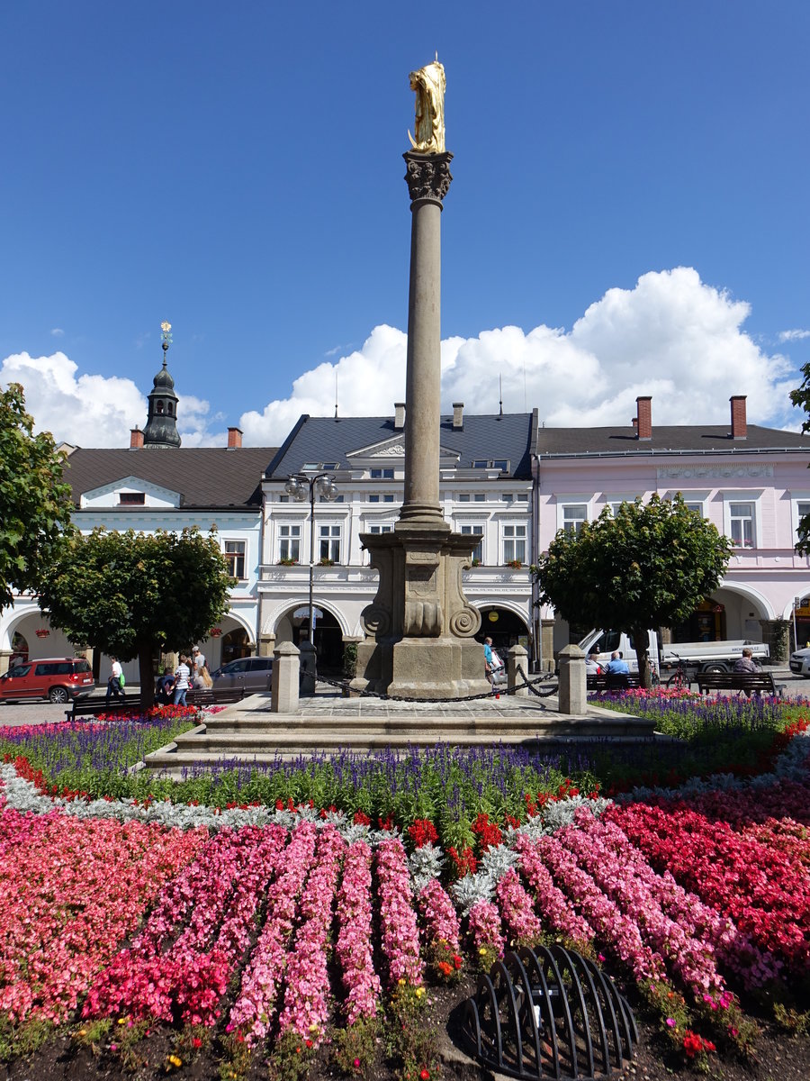 Usti nad Orlici / Wildenschwert, Mariensule am Hauptplatz Mirove Namesti (30.06.2020)