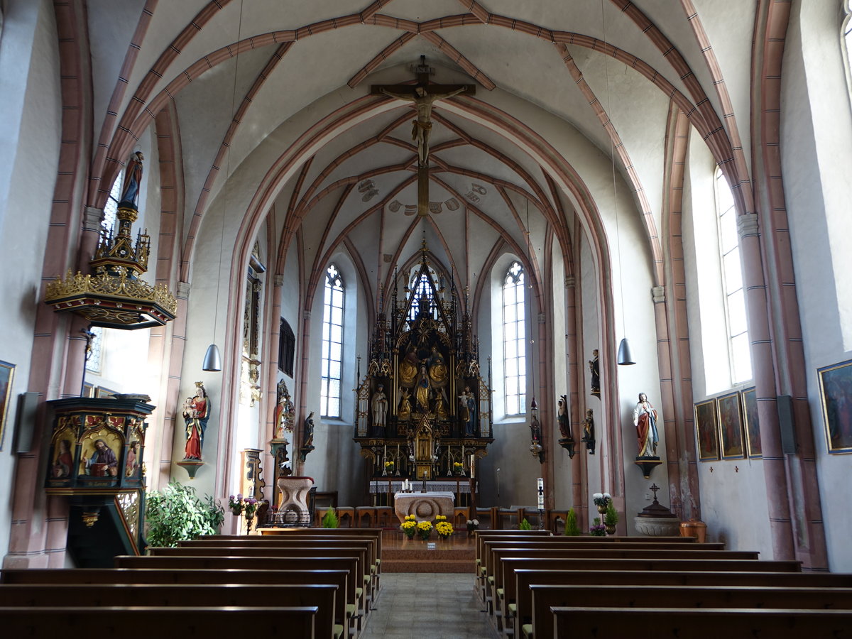Uttigkofen, gotische Hochaltar und Kanzel in der Maria Himmelfahrt Kirche (20.11.2016)