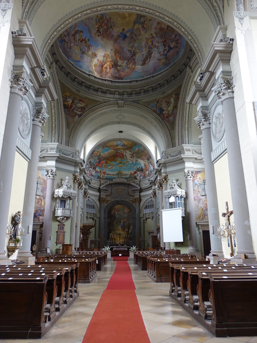 Vac, Innenraum der Kathedrale, Fresken von Franz Anton Maulbertsch (02.09.2018)