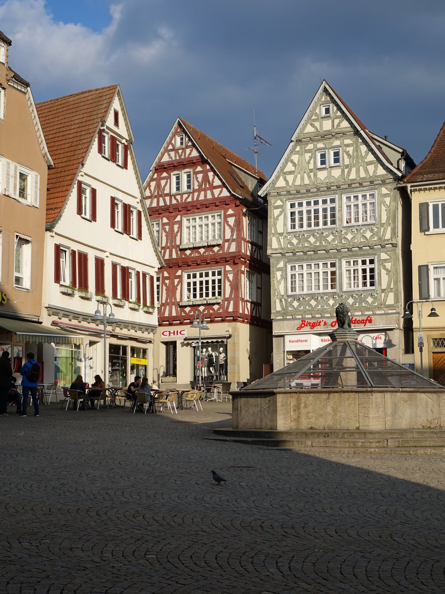 Vaihingen a. d. Enz, Fachwerkhuser am Markt (10.04.2016)